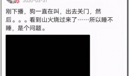 娱乐圈吃瓜大集合txt,揭秘“吃瓜大集合”txt背后的精彩故事